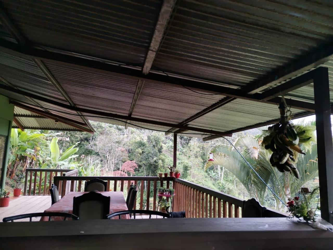 Bella Vista Guest House Туриалба Екстериор снимка