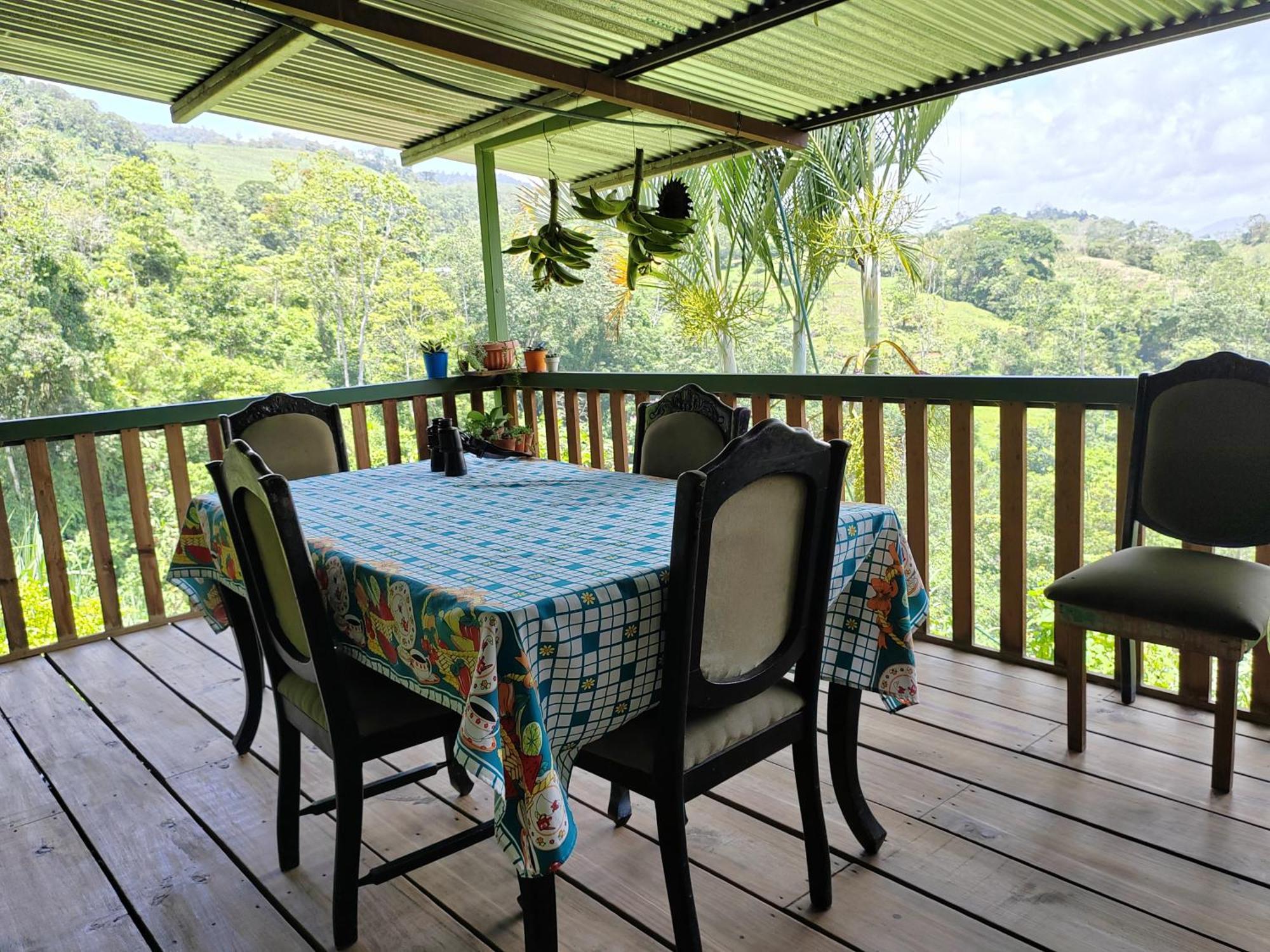Bella Vista Guest House Туриалба Екстериор снимка